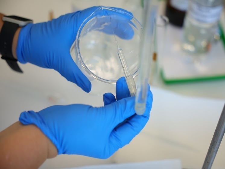 В 2025 году болезнью Лайма после укусов клещей заболели 12 волгоградцев