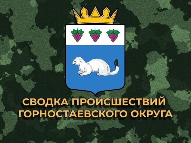 За сутки ВСУ 9 раз обстреляли Горностаевский округ