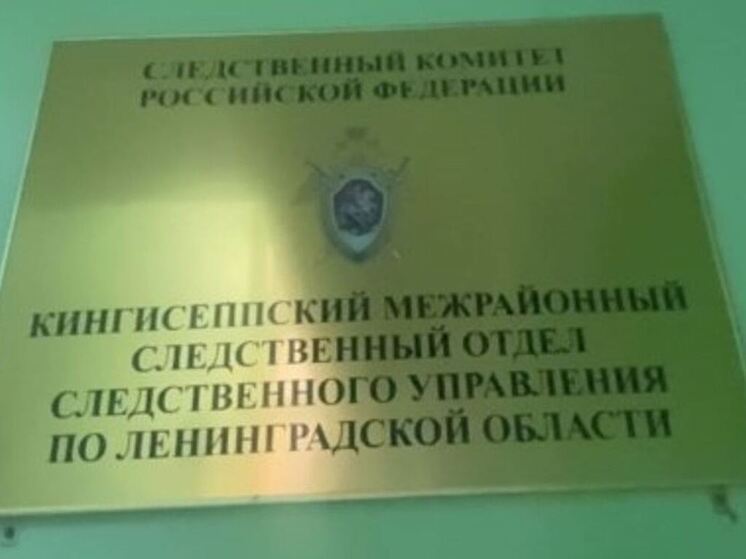 Жительницу Кингисеппского района задержали за оправдание терроризма