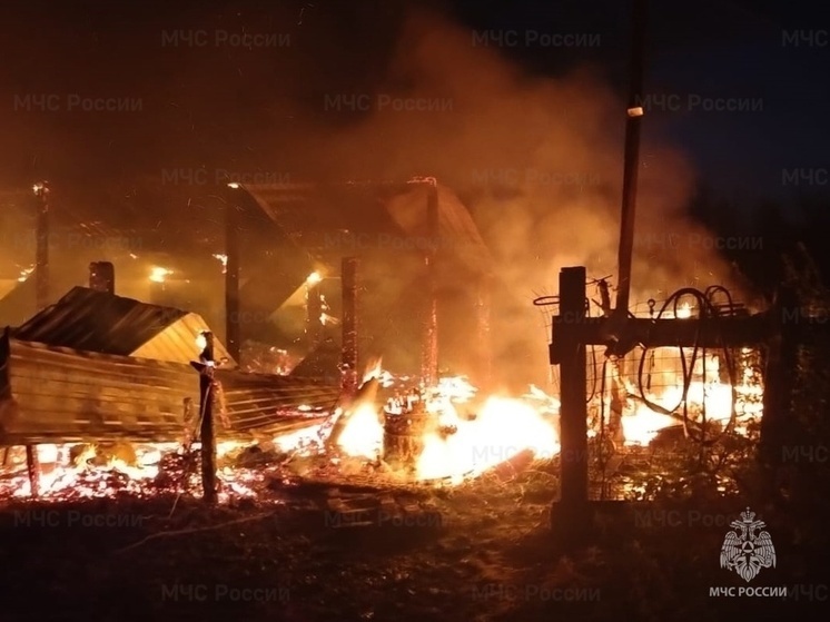 В Калужской области выясняют причины пожара в коровнике