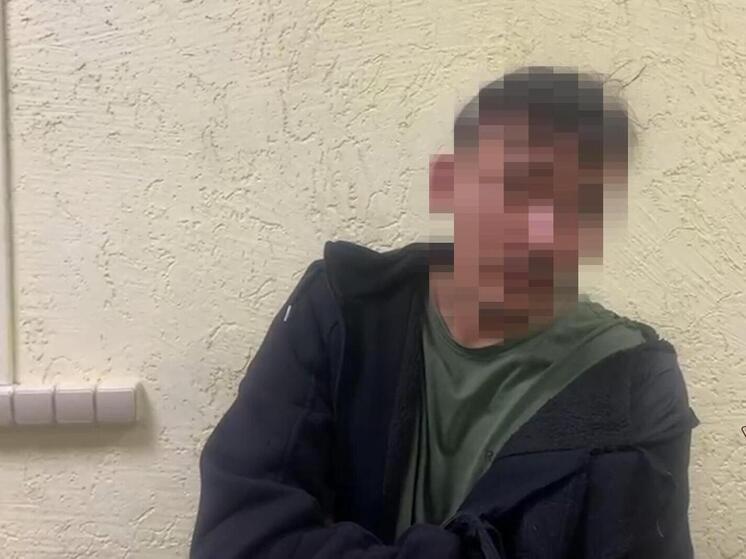 В Подмосковье подстрелили дебошира с топором и петардами