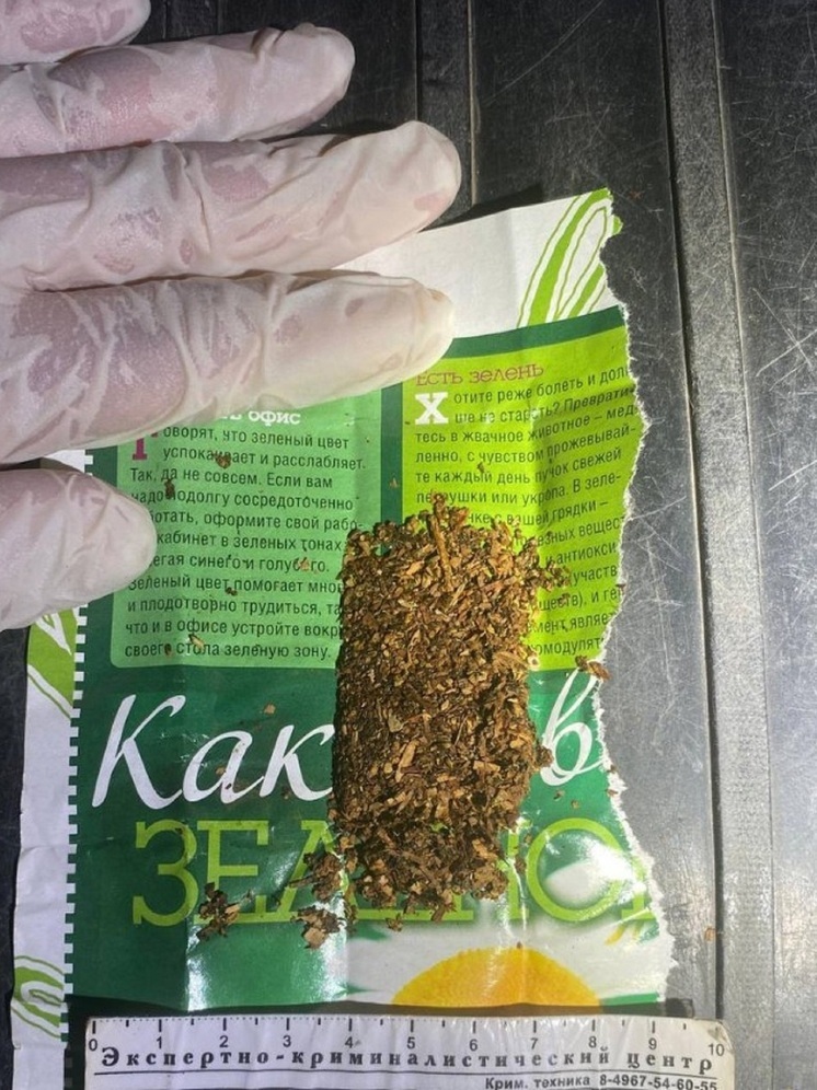 В Элисте в машине нашли растительный наркотик