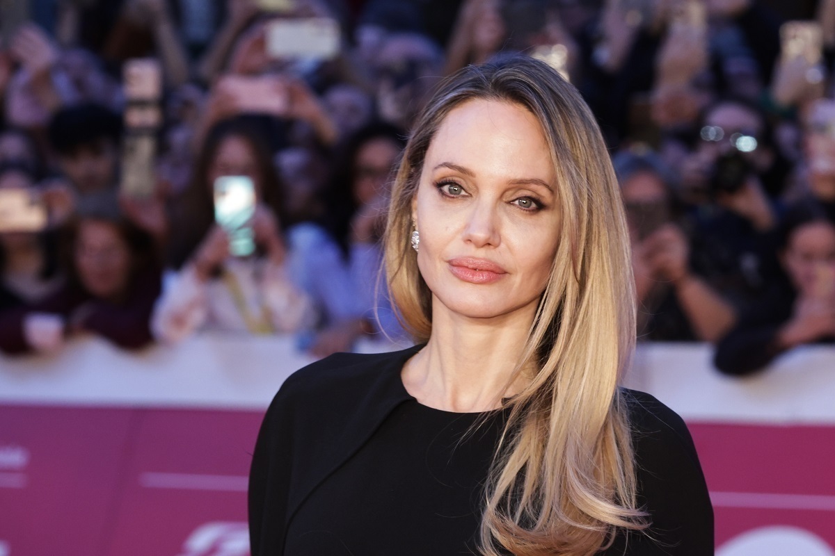 В Госдуме высказались по поводу визита Анджелины Джоли в Херсон