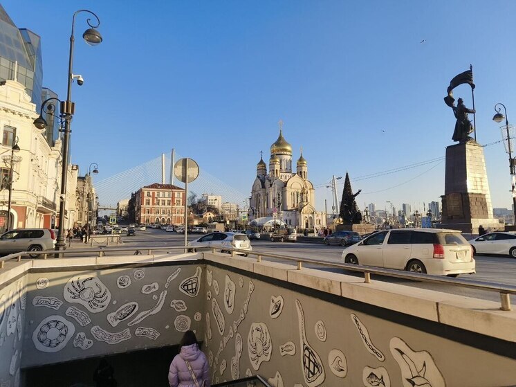 Борьба с аварийностью: на шести улицах Владивостока обновят знаки и разметку