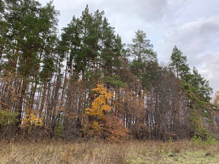 В Пензенской области выявили три нарушения правил охоты