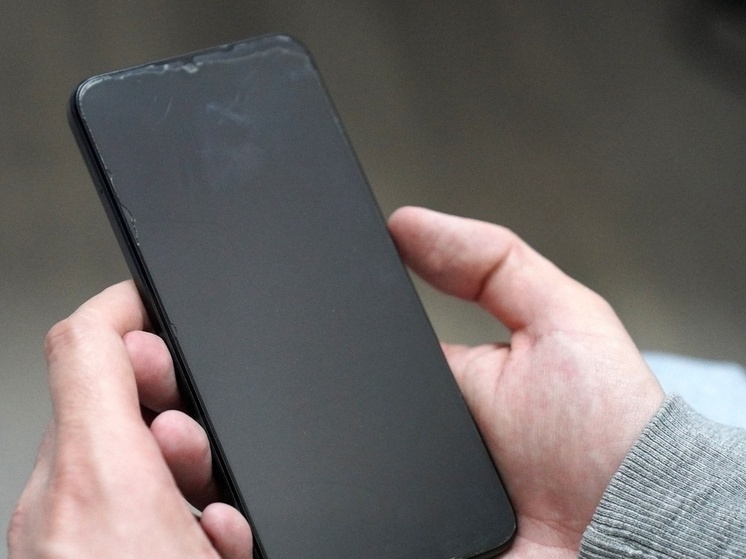 Тулякам рассказали, кто чаще всего попадает в ловушки мошенников