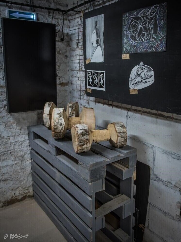 В Новосибирске открылась выставка-«галлюцинация» с синими лягушками и манекеном