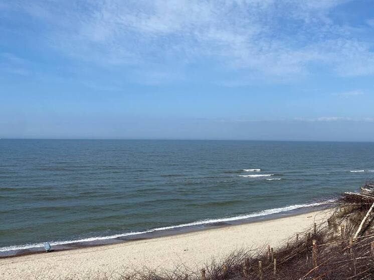 Нейросети поздравили Куршскую косу с днем рождения