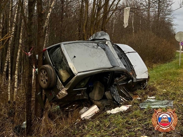 Появились подробности ДТП под Тверью, где иномарка вылетела в кювет