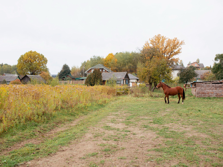 От Пиксура до Малой Субботихи: названы лучшие села и деревни Кировской области