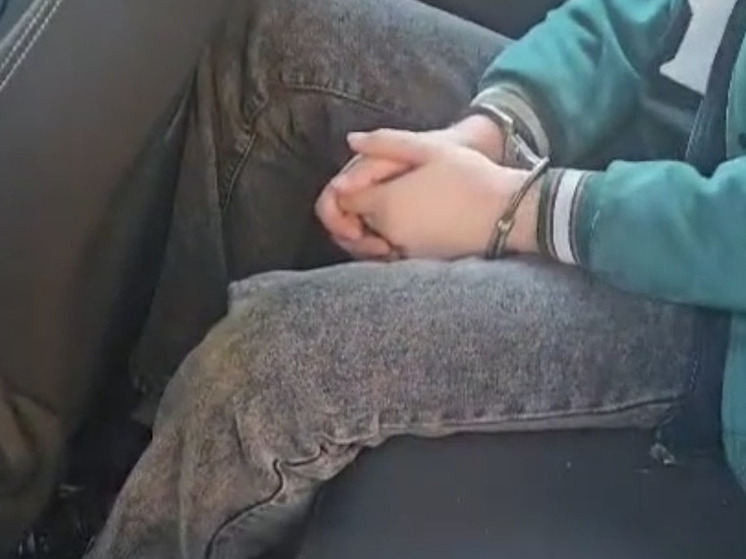 В Ломоносовском районе задержали молодого вора с 10 судимостями