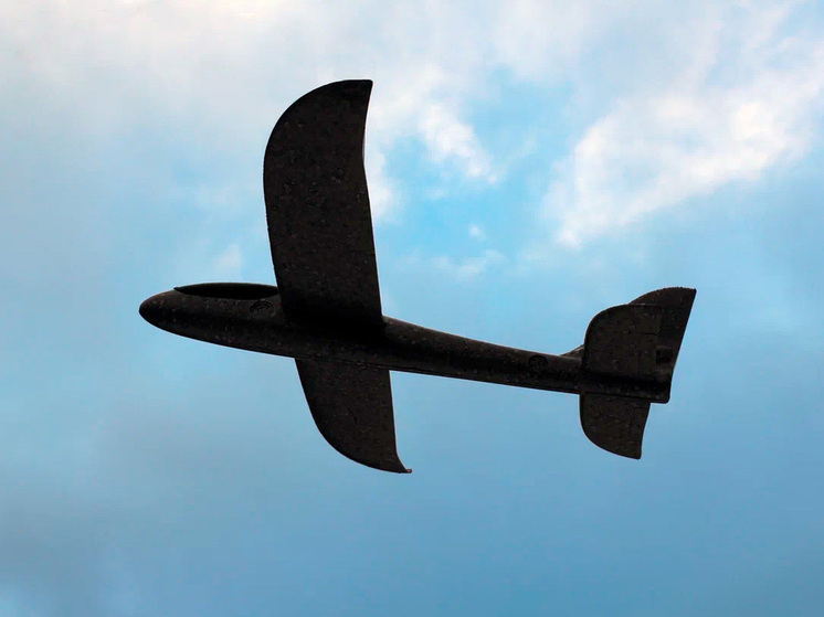 Над ночным небом Липецкой области сбили 1 БПЛА