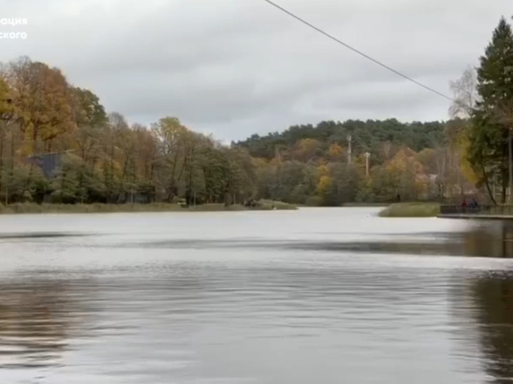 В Светлогорске начали чистить главное озеро курорта – Тихое