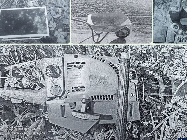 В Курской области суд посадил серийного домушника на 3 года в колонию