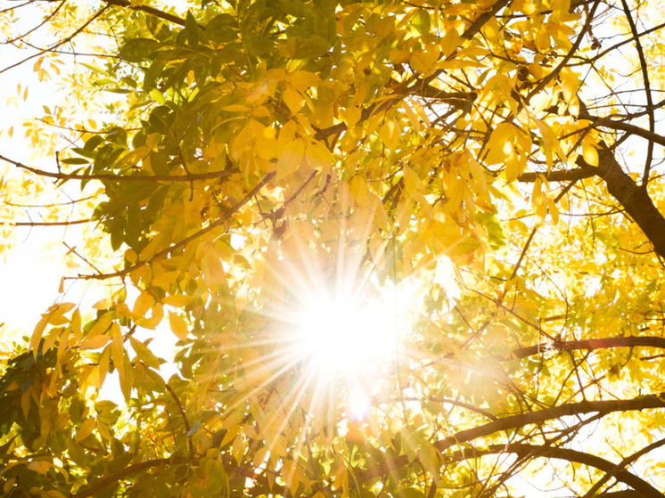 Липчан предупредили о надвигающихся магнитных бурях