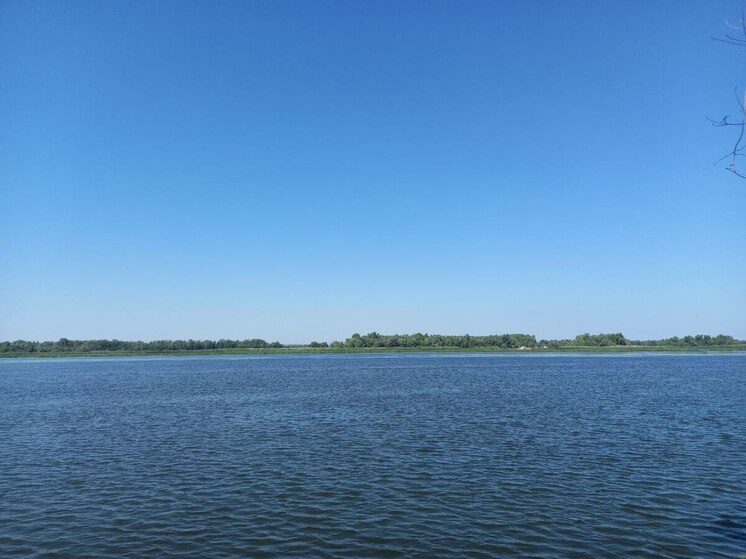 На закупку судна для маршрута Саратов-Хвалынск выделено 665 млн рублей