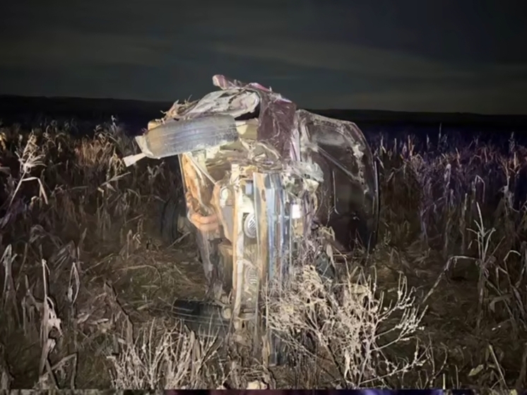 В Мостовском районе при опрокидывании отечественной легковушки погибли два человека