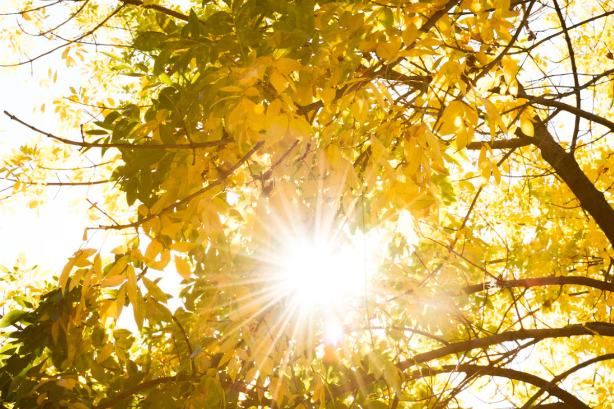 Липчан предупредили о надвигающихся магнитных бурях