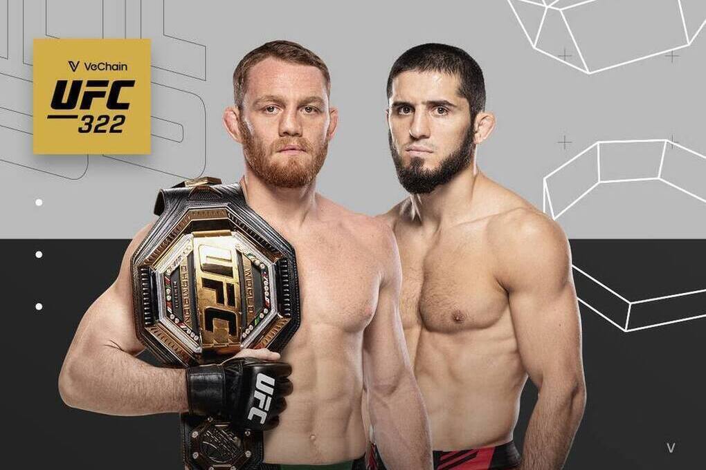 Бойцы встретятся в октагоне 16 ноября