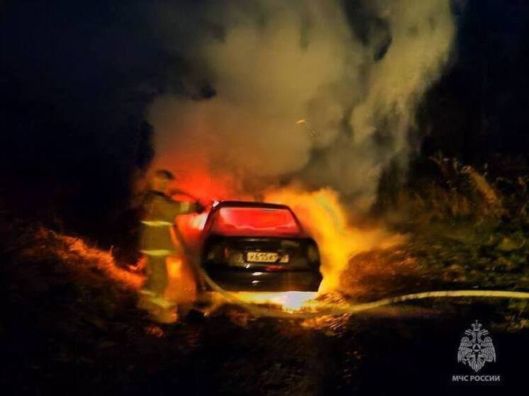 В Тверской области дотла сгорел автомобиль