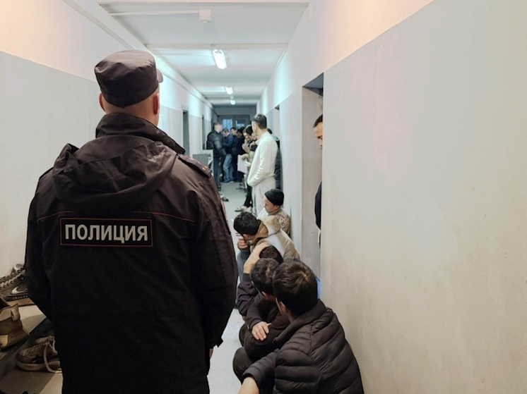 В Архангельской области нашли 25 иностранцев-нелегалов