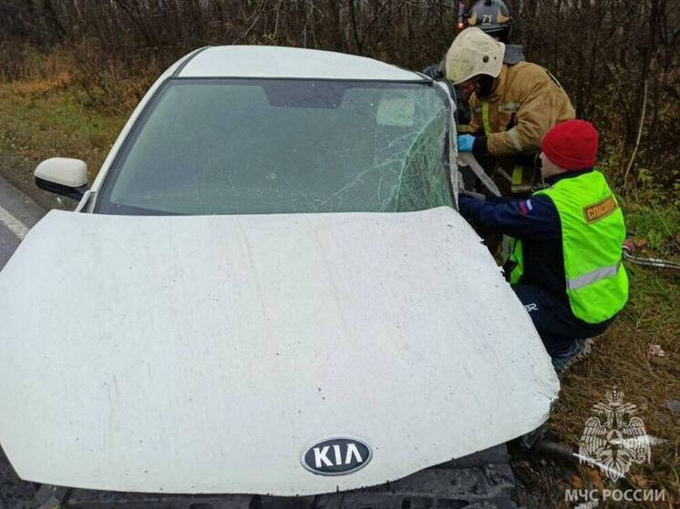 За сутки в Ленобласти произошло 83 ДТП, пострадали 8 человек