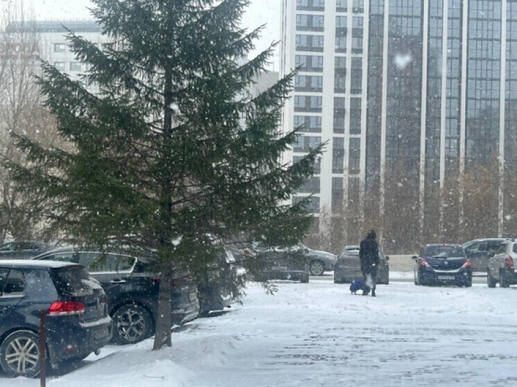 В Новосибирск 6 ноября пришли ледяной ветер и метель