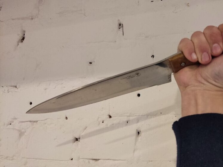 Новгородец получил 3 года колонии за нападение с ножом на опекуна