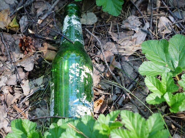 Полицейские в Калининграде защитили местных от 11 коробок с алкоголем