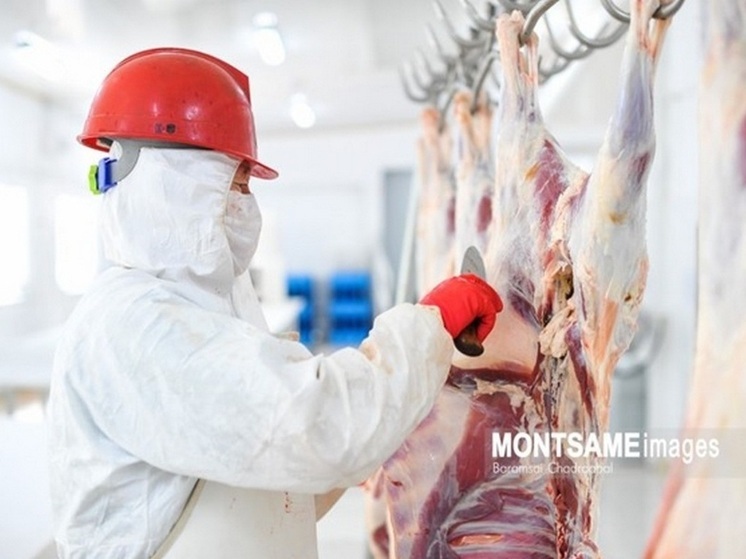 Предприятия Монголии имеют резервы для экспорта 162 тыс тонн мяса