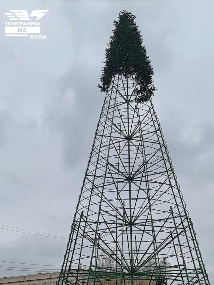 В Орле устанавливают новогоднюю ёлку