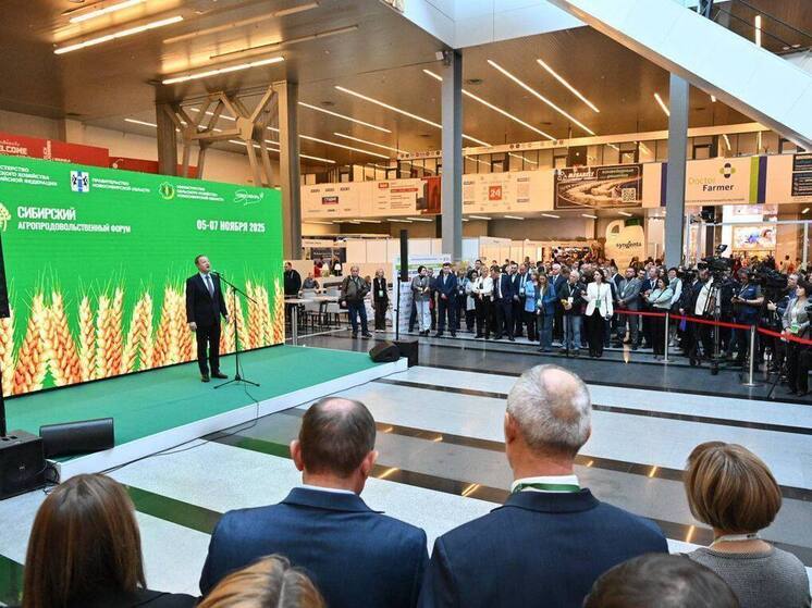 Томенко заявил о рекордном урожае масличных культур в Алтайском крае