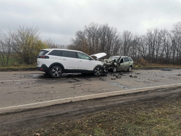 Лобовое столкновение на мичуринской трассе унесло жизнь пенсионера