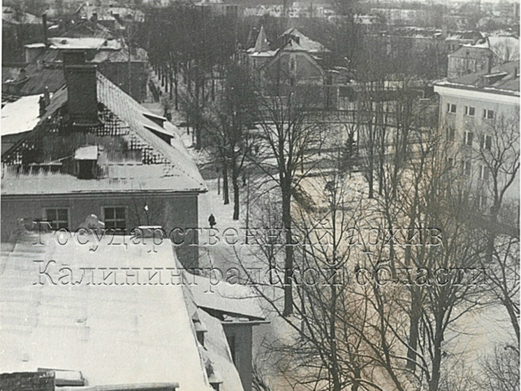 Калининградский госархив показал вид на улицу Чайковского в районе главпочтамта