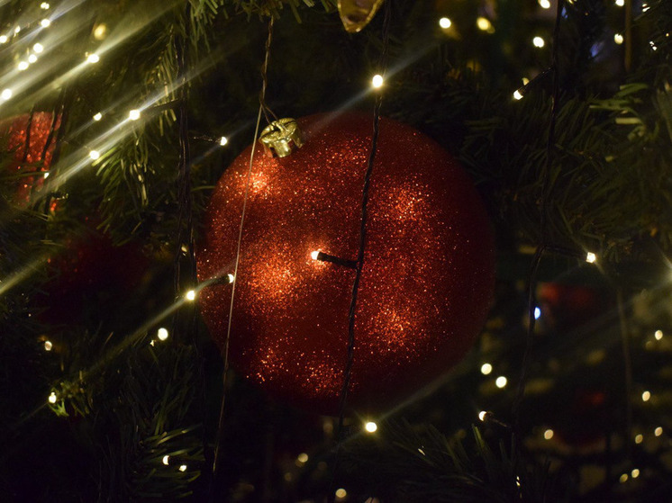 Барнаульские власти назвали даты проведения новогодних елок для школьников