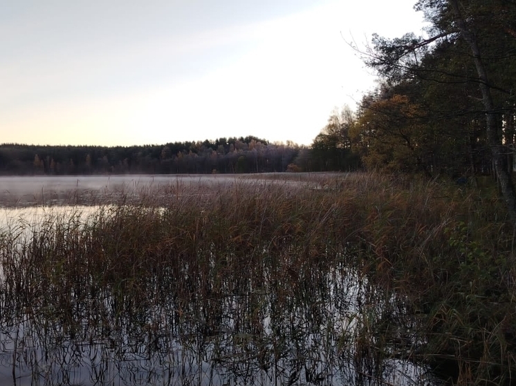 Октябрь в Себежском районе оказался холодным и дождливым