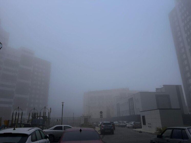 Опасный туман задержится в Воронежской области