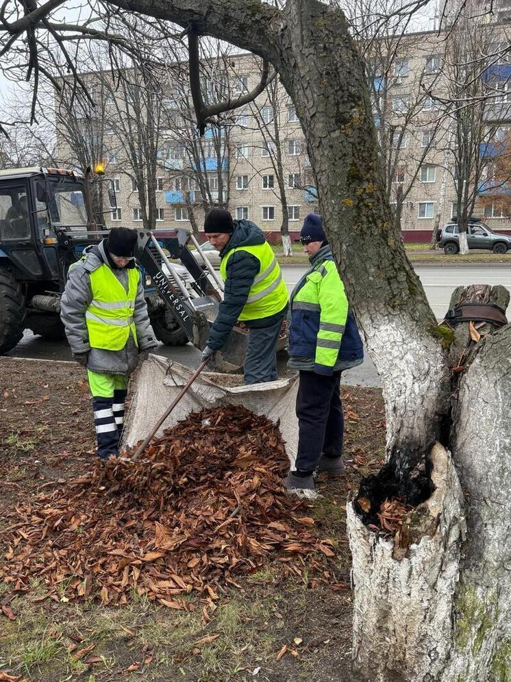 Пензенские коммунальные службы проводят сезонную уборку опавшей листвы