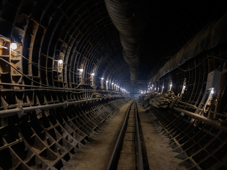 В Москве задержали мужчин с болгаркой и фототехникой в тоннеле метро