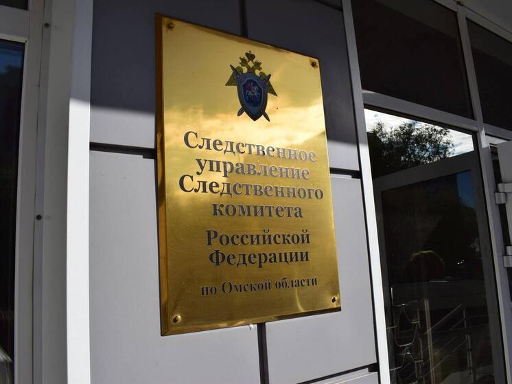 Бастрыкин заинтересовался делом сироты, 12 лет ждущей жильё