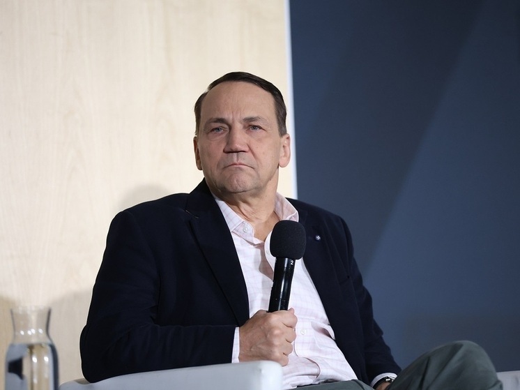 Сикорский заявил, что против него была применена прослушка с помощью Pegasus