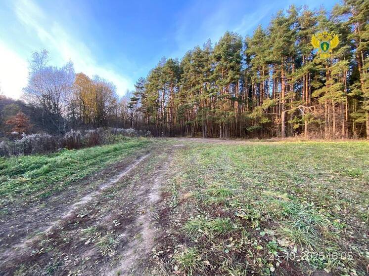 Калужский лес очистили от свалки