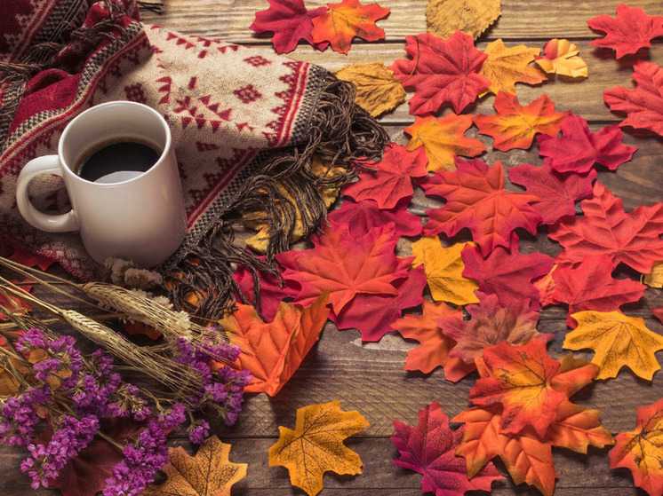 16 градусов тепла прогнозируют в Херсонской области 7 ноября