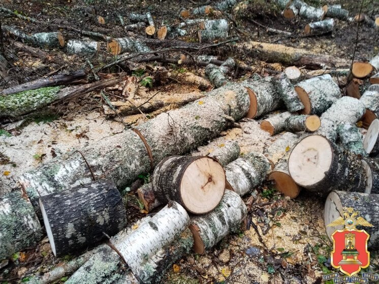 В Тверской области житель деревни незаконно вырубал лес