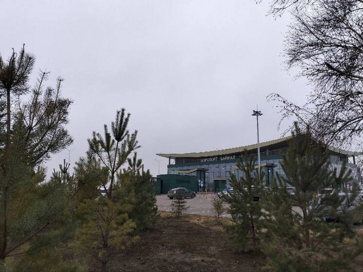 В Улан-Удэ в аэропорту «Байкал» пассажиров встретит и проводит сосновая роща