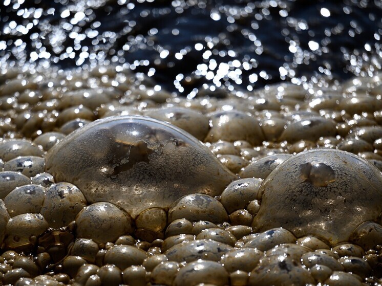 В округе Язу (штат Миссисипи, США) произошел мощный взрыв на заводе по производству аммиака