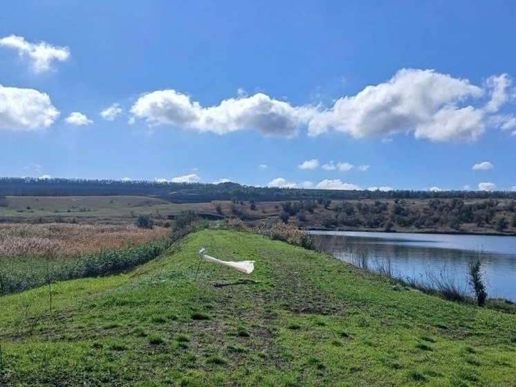 На Ставрополье завершили обследование почти 450 бесхозяйных гидросооружений