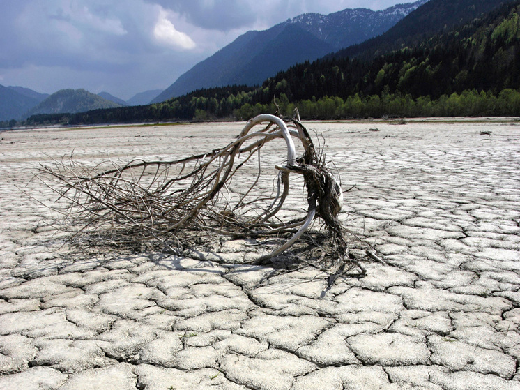 Британский политик Ричард Тайс теперь допускает влияние человека на климат