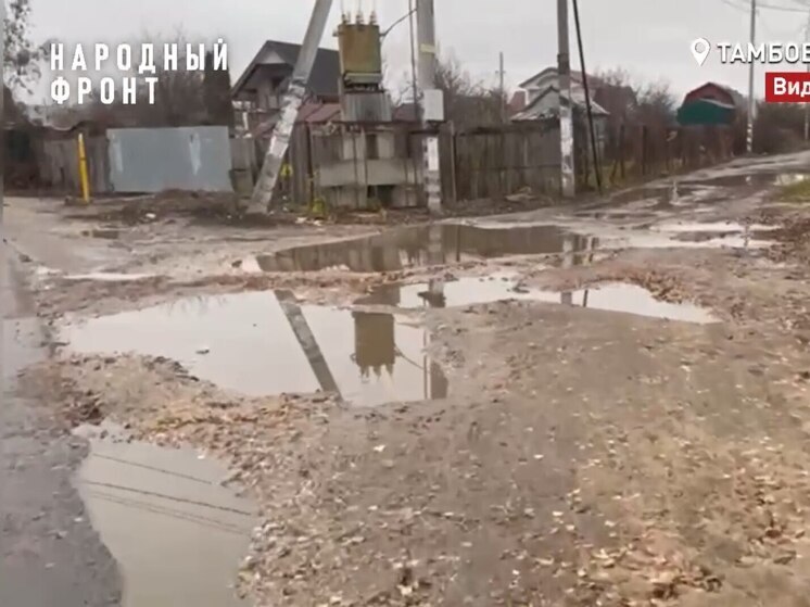 «Грязевой ад»: тамбовские дачники застряли в болоте из-за старой дороги