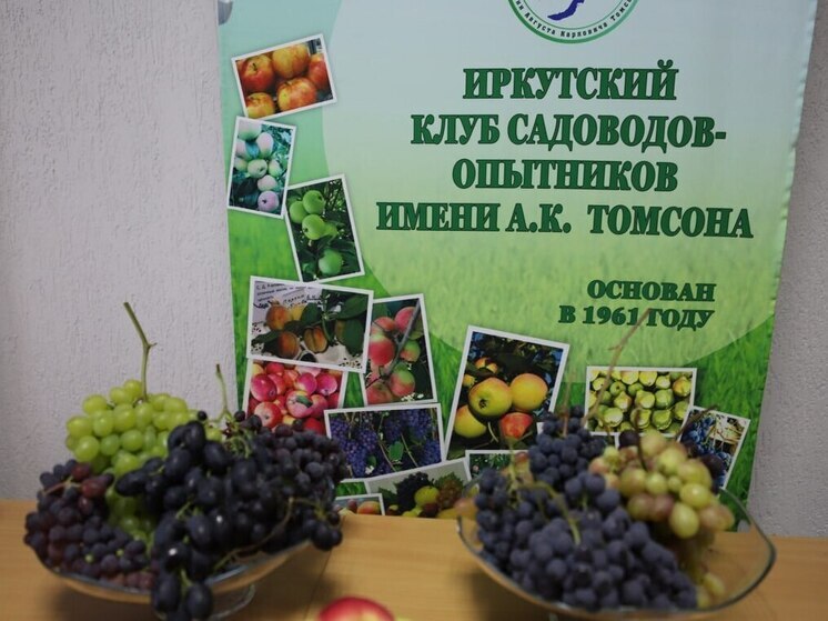  Иркутян приглашают на занятия в Школу садоводов города